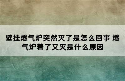 壁挂燃气炉突然灭了是怎么回事 燃气炉着了又灭是什么原因